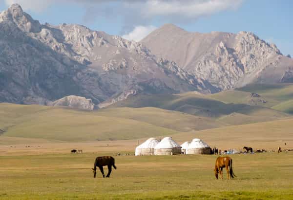 veduta campo yurte mongolia con cavalli